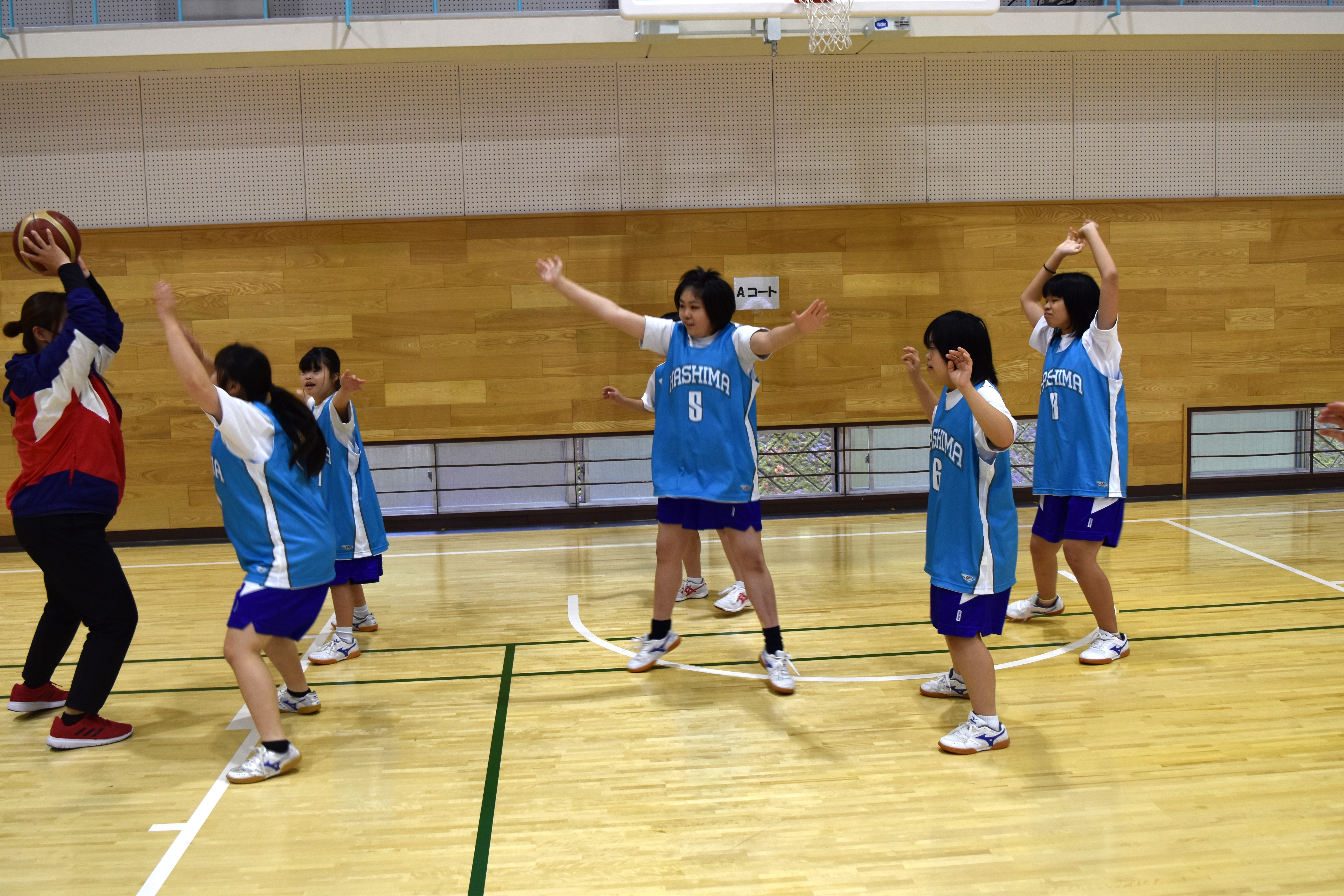 バスケットボールの写真