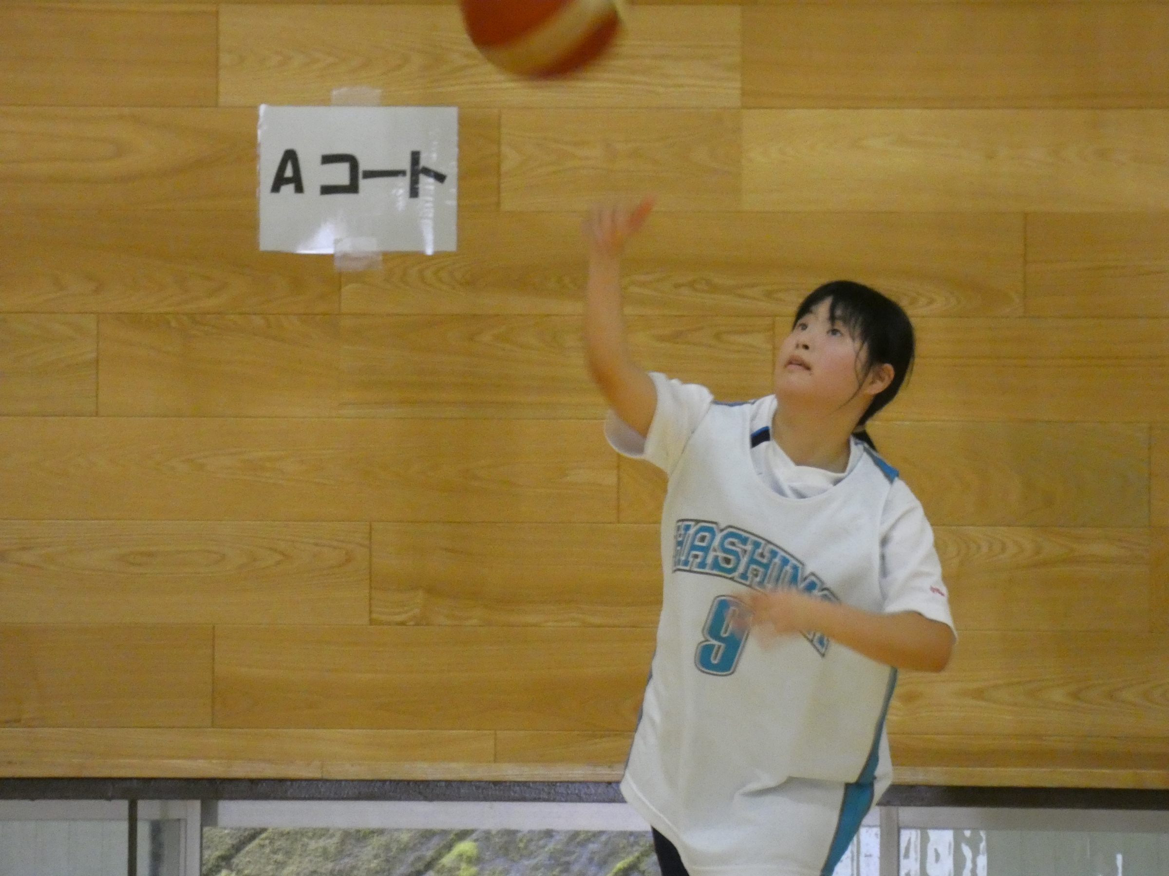 バスケットボールの写真