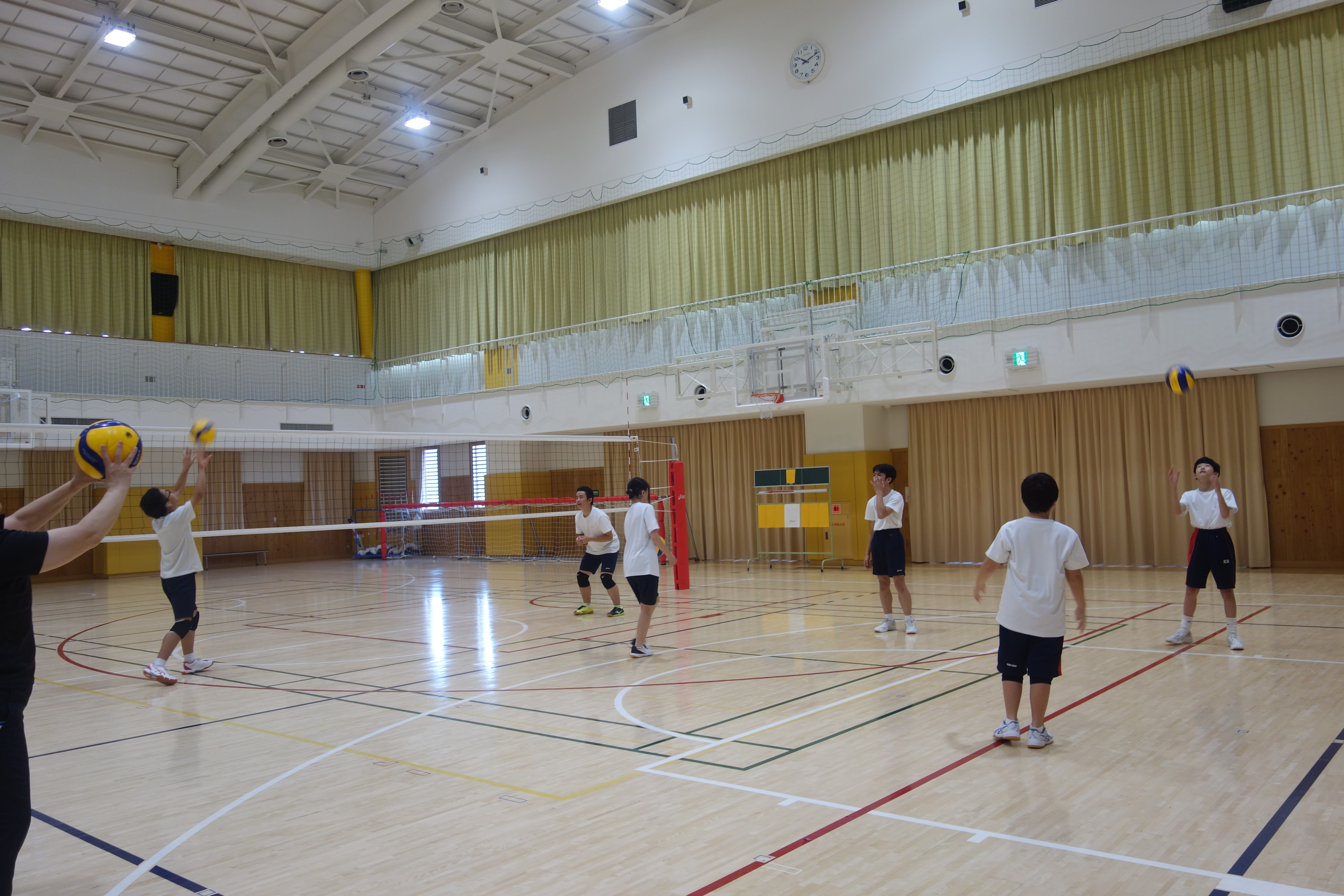 バレーボールの写真