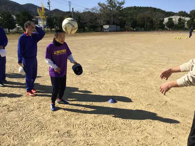 トラッピングの写真